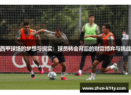 西甲球场的梦想与现实：球员转会背后的财富博弈与挑战