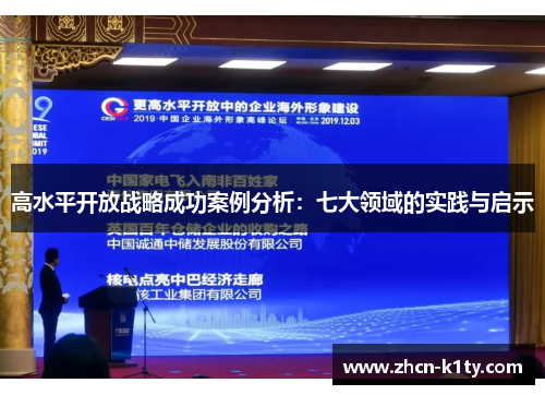 高水平开放战略成功案例分析：七大领域的实践与启示