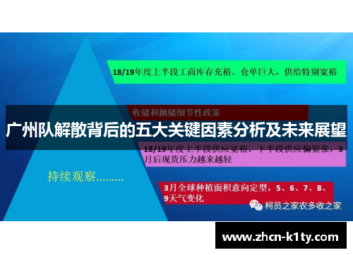 广州队解散背后的五大关键因素分析及未来展望